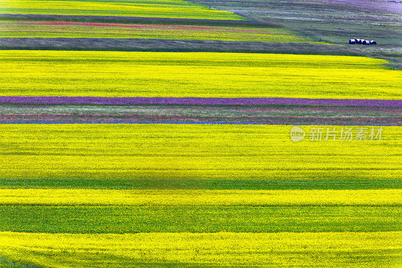 Piano Grande di Castelluccio(意大利)，绿色山丘上的村庄